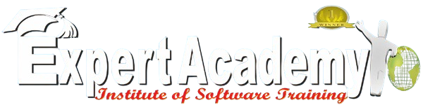 Expert Academy Logo